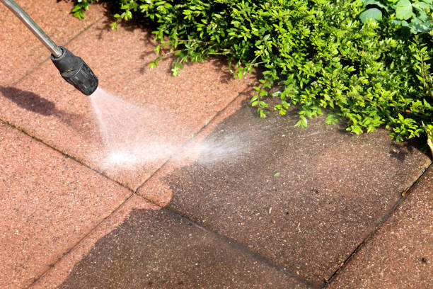 Local Pressure Washing Services in Mesa Del Caballo, AZ